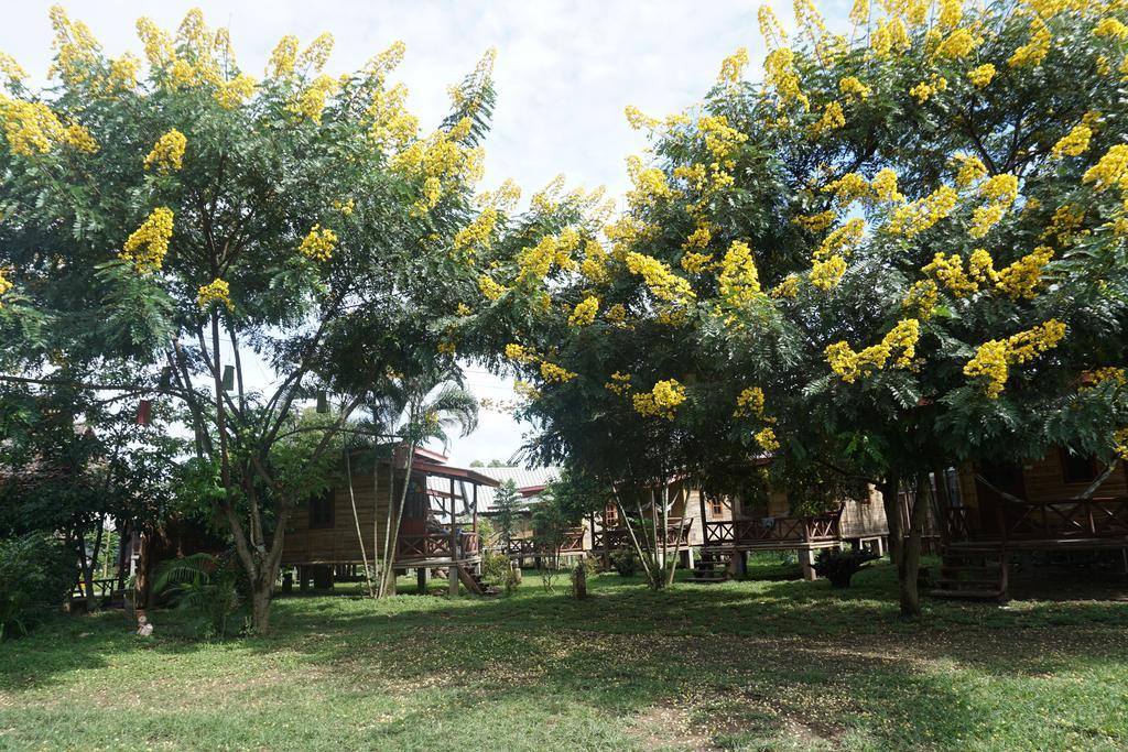 Family Hut Pai Exterior foto